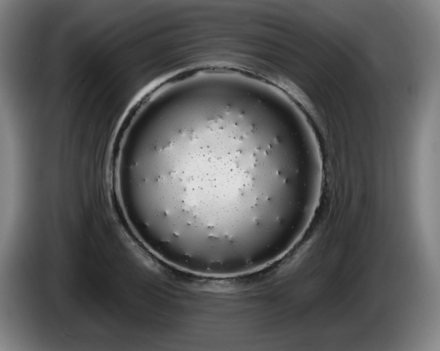 X0000086091028200703301146