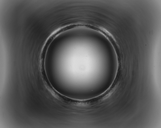 X0000086091029200703301146