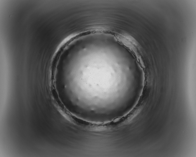 X0000086091030200703301146