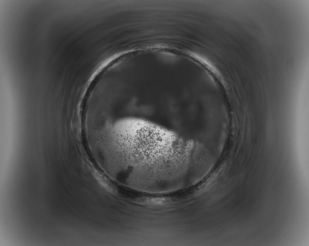 X0000086091031200703301146