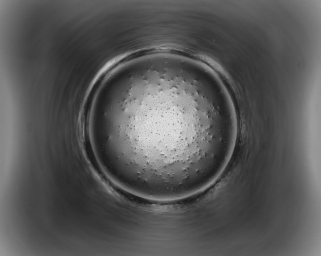 X0000086091032200703301146