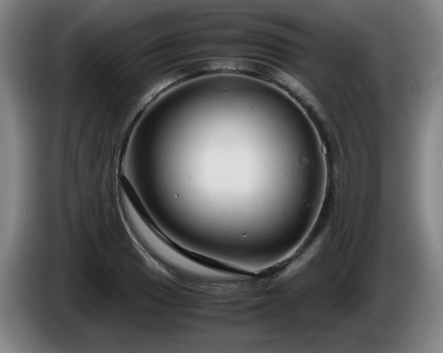 X0000086091033200703301146