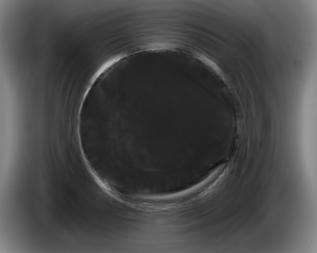 X0000086091034200703301146