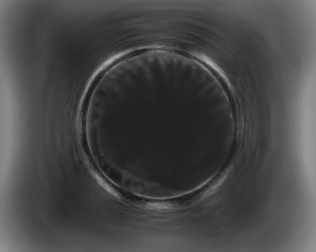 X0000086091037200703301146