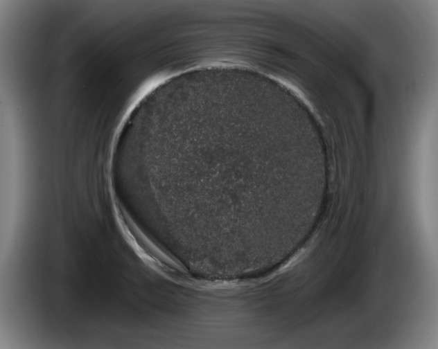 X0000086091038200703301146