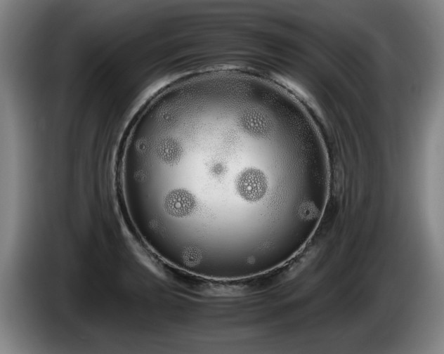 X0000086091039200703301146