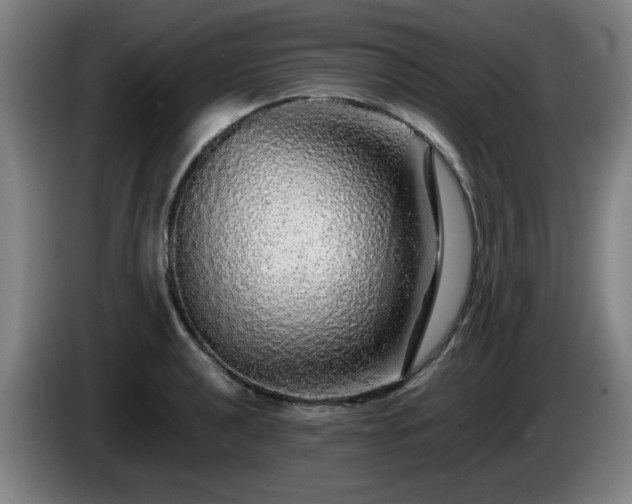 X0000086091040200703301146