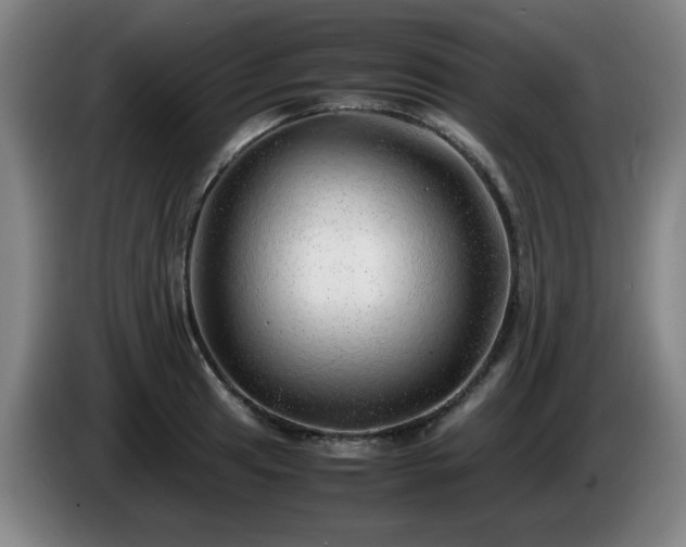 X0000086091041200703301146