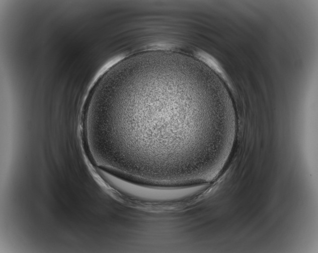 X0000086091042200703301146