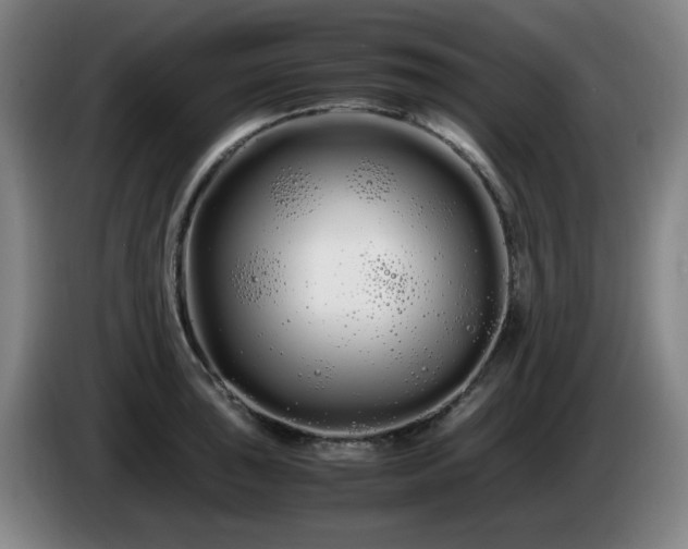 X0000086091043200703301146