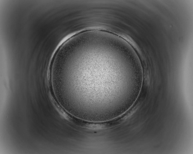 X0000086091044200703301146