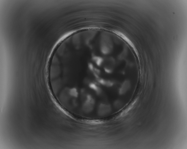 X0000086091045200703301146