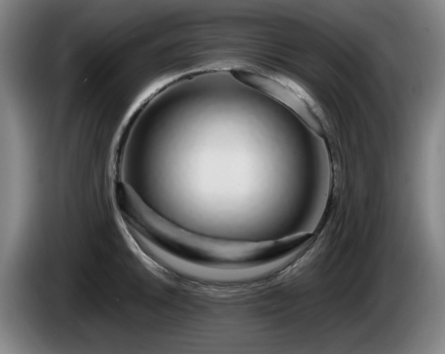 X0000086091046200703301147