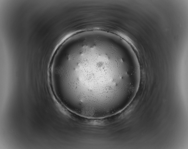 X0000086091047200703301147