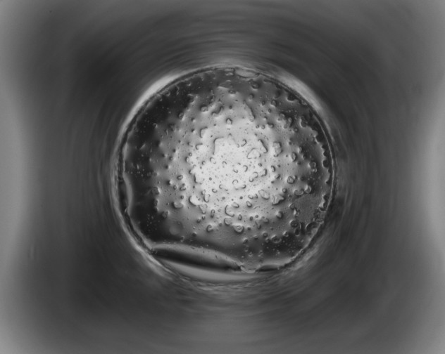 X0000086091048200703301147