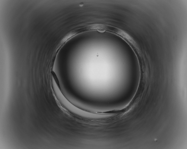 X0000086091049200703301147