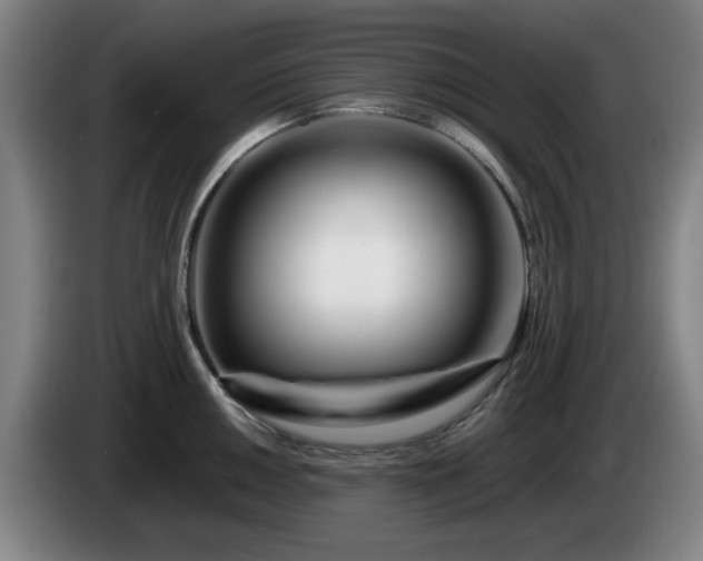 X0000086091050200703301147