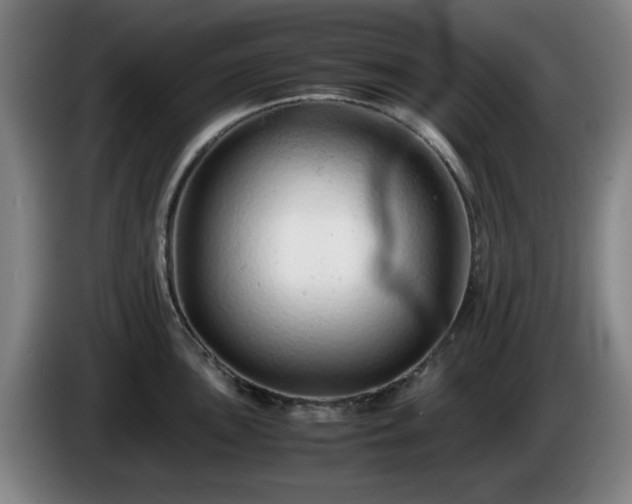 X0000086091051200703301147