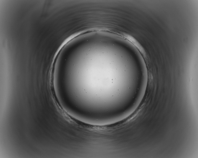 X0000086091052200703301147