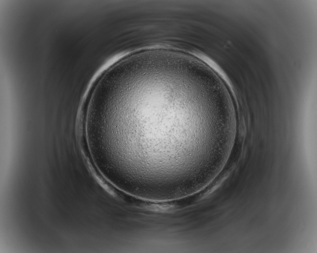 X0000086091053200703301147