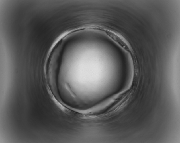 X0000086091054200703301147