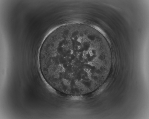 X0000086091055200703301147