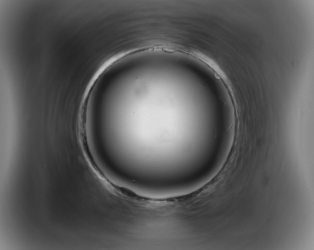 X0000086091056200703301147