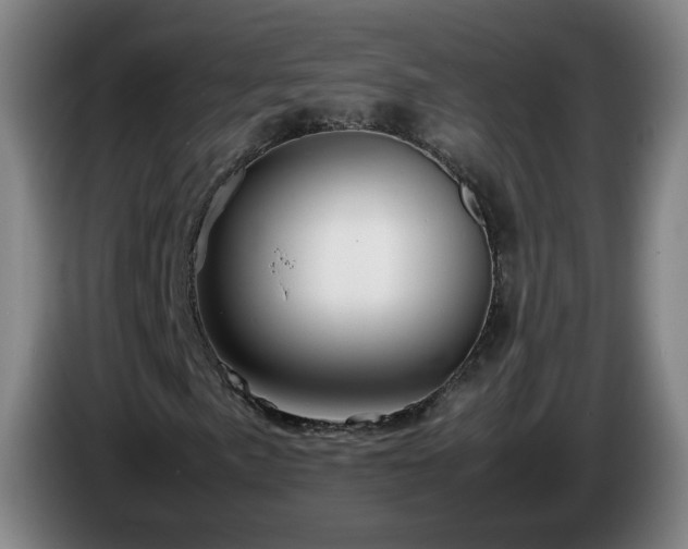 X0000086091057200703301146