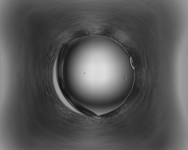 X0000086091058200703301146