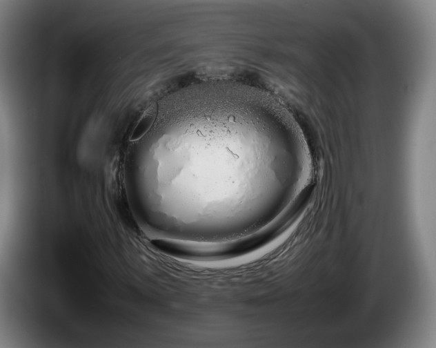 X0000086091059200703301146