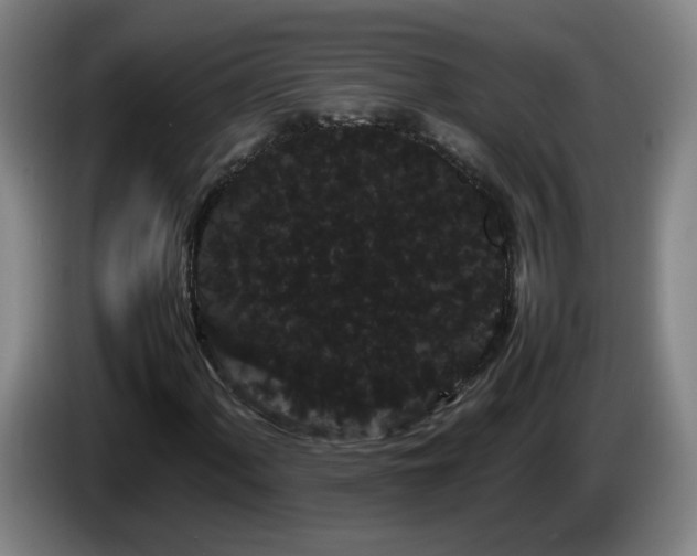 X0000086091060200703301146