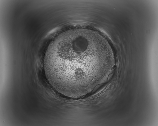 X0000086091063200703301146