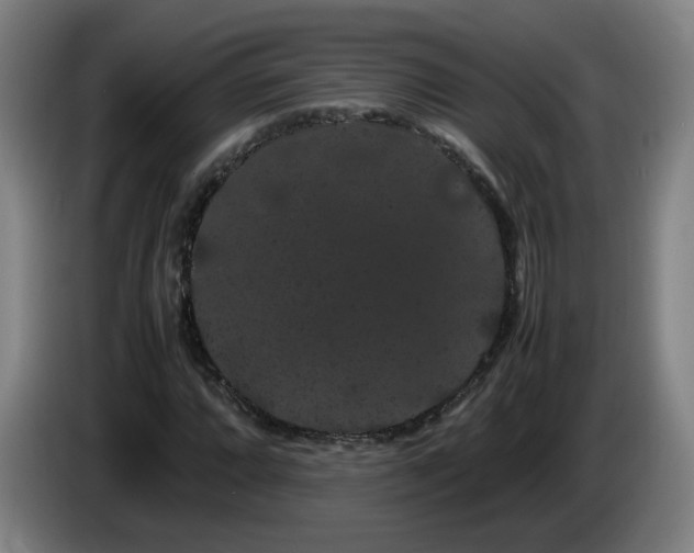 X0000086091064200703301146