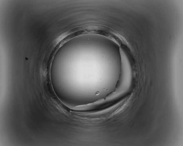 X0000086091065200703301146