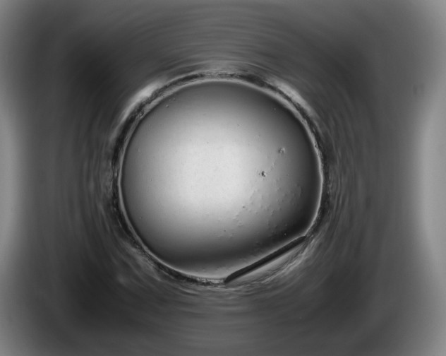 X0000086091067200703301146