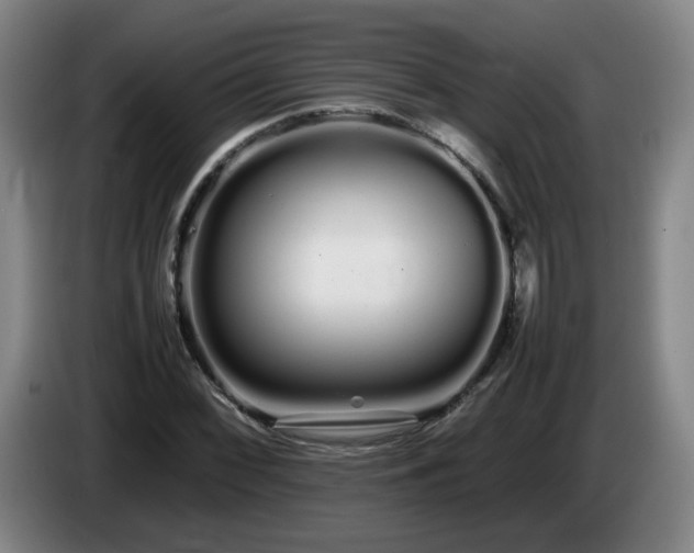 X0000086091068200703301146