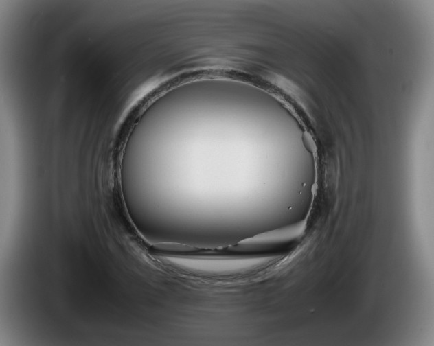 X0000086091069200703301146