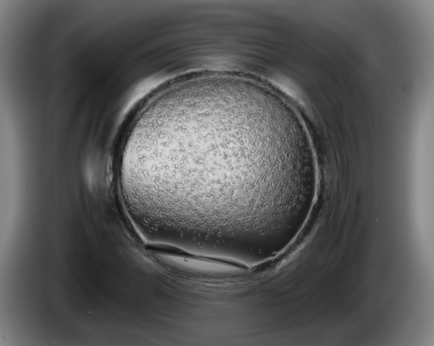 X0000086091070200703301146