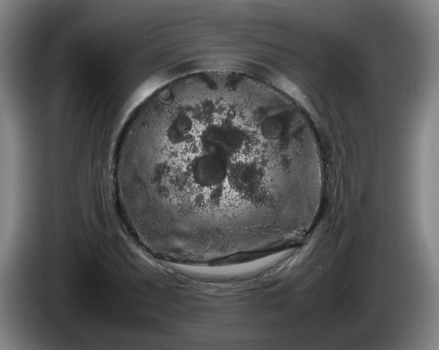 X0000086091071200703301146