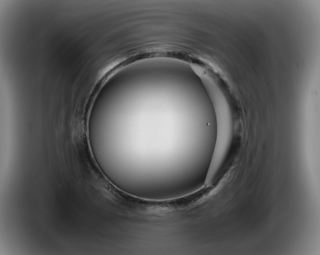 X0000086091073200703301146