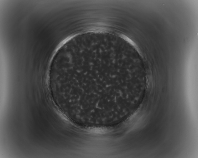 X0000086091074200703301146