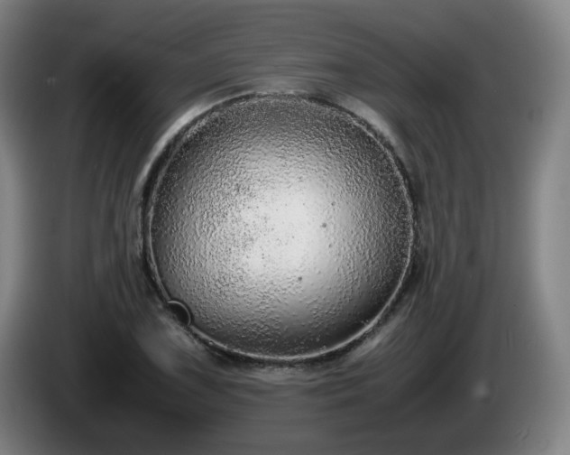 X0000086091075200703301146