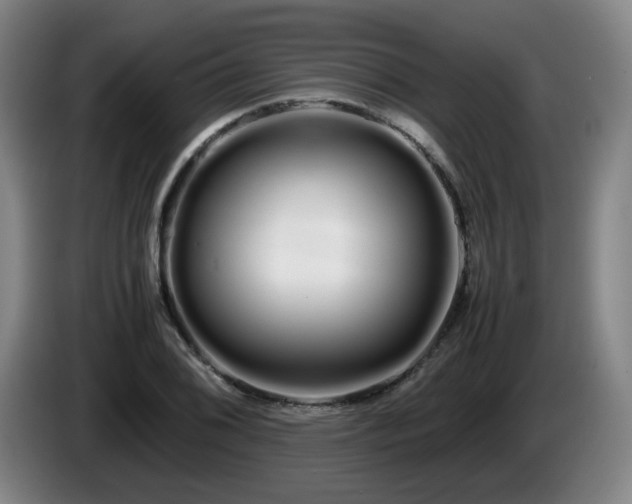 X0000086091076200703301146