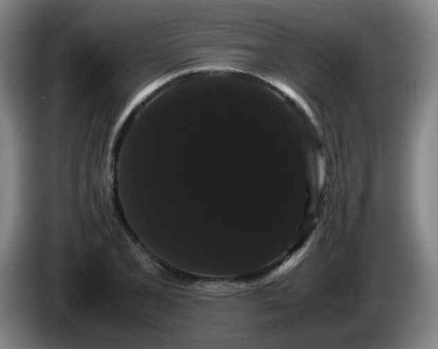 X0000086091077200703301146