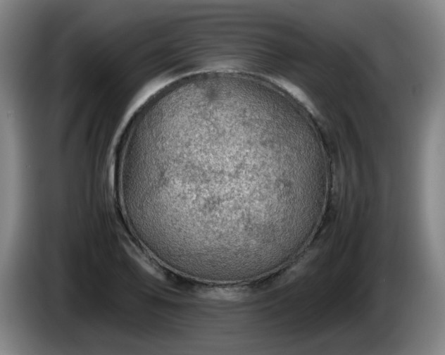 X0000086091078200703301146