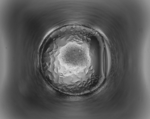 X0000086091079200703301146