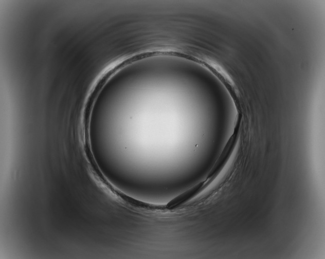 X0000086091080200703301146