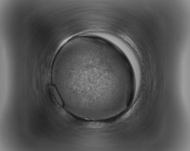 X0000086091081200703301146