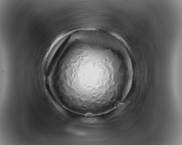 X0000086091083200703301146