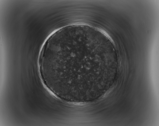 X0000086091084200703301146